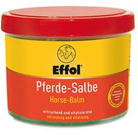 Gesundes Pferd